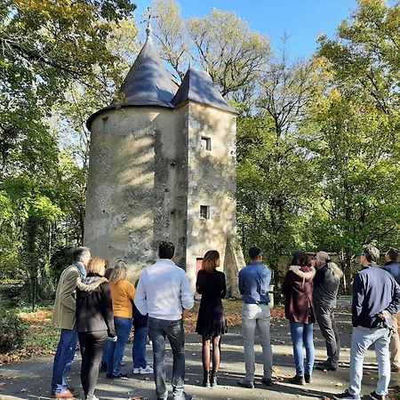 Chateau De Mornay Saint-Pierre-de-l'Isle Экстерьер фото